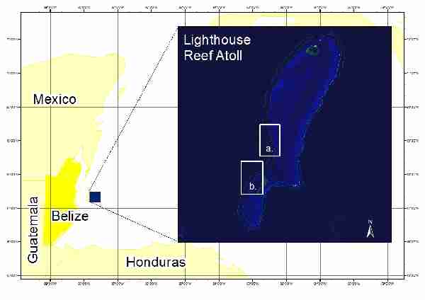 Fig. 1. Study sites at Lighthouse Reef Atoll, Belize: a) ‘Central LRA’ and b) ‘Long Caye’. (Adapted from Google Earth)