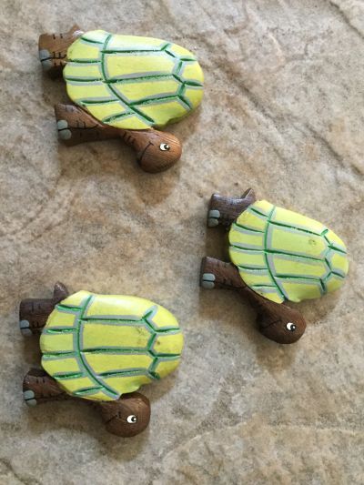 Tortoise Fridge Magnet