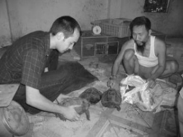 Tim dealing with a bag of turtles in Hanoi in 2002.