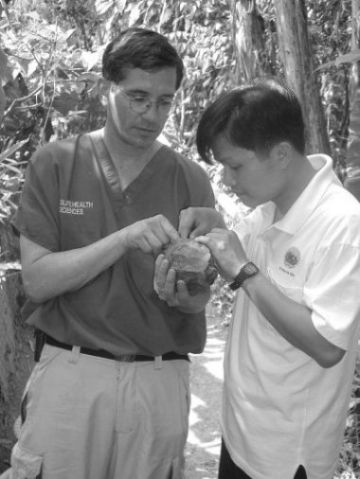 Mr Phong at the TCC receiving veterinary training from Dr Paul Calle of WCS with a Pyxidea mouhotii
