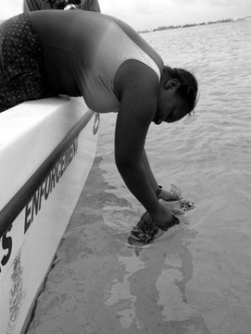 Jasmine Parker releases a juvenile hawksbill turtle caught, tagged and sampled during the TCOT workshop in Grand Cayman.