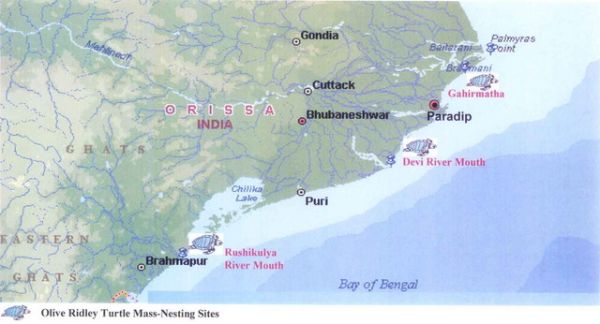 Map Showing Turtle Mass-Nesting Sites on the Orissa Coast