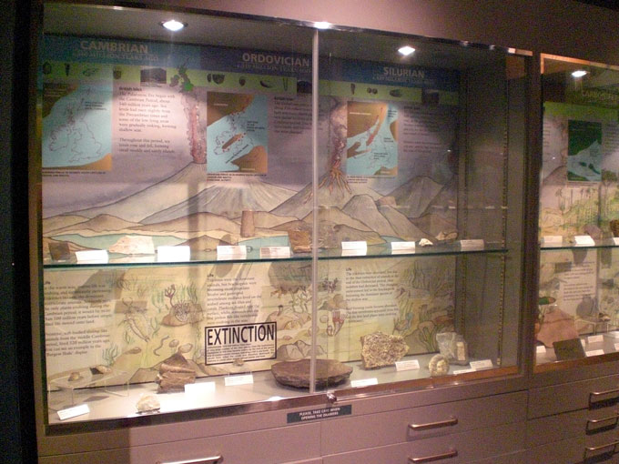Fig. 2. The time line display at Haslemere Educational Museum showing the early part of life on Earth.