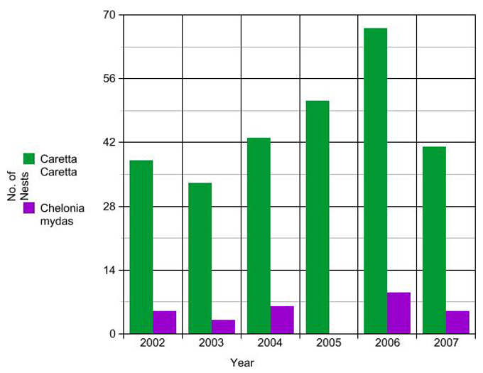 Table 1. Total number of loggerhead and green turtle nests per year at El Mansouri and El Koliala beach.