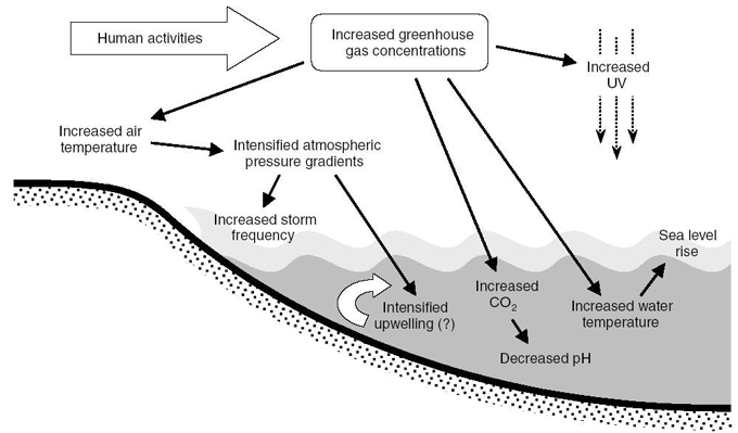 Fig. 1. The predicted impacts of human-induced climate change (Christopher <I>et al., </I>2006).