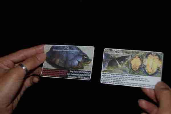 Fig. 2. Identification cards distributed to local communities to strengthen the search for the Philippine forest turtle in the wild.
