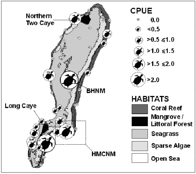 Fig. 2. Turtle abundance (as Catch Per Unit Effort, CPUE), determined by sightings transects. Locations of protected areas (BHNM, HMCNM) also shown. Hawksbills were more numerous in the coral reef habitat than in the lagoon, and within protected areas.