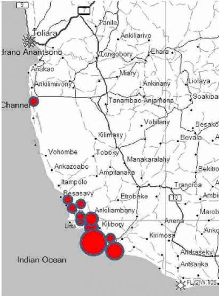 Fig. 3. (b) A visual representation of the number of poached radiated tortoise carcasses encountered upon each 1km transect undertaken throughout area of the species range during February 2010. Circles represent from 1 to 47 poached tortoise carapaces found across 11 1km transects (Walker, unpublished data).